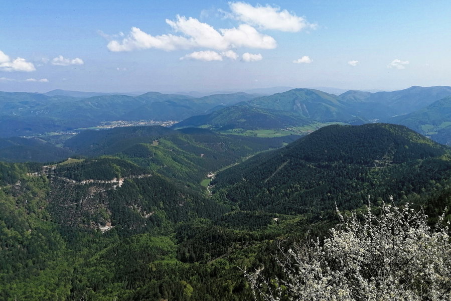 Panorama, echt schön. Foto: Sarah Pallauf