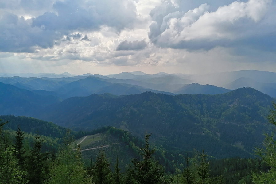 Panorama, schon sehr schön. Foto: Sarah Pallauf