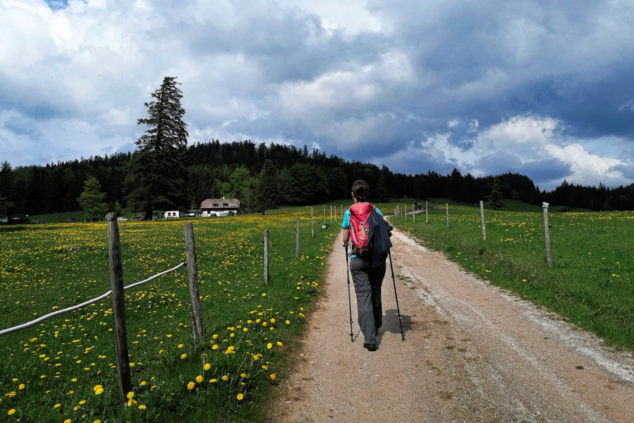 Über die Mamauwiese. Foto: Sarah Pallauf