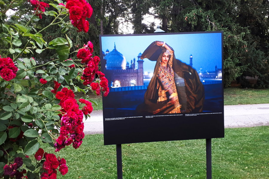 Rosarium im Doblhoffpark. Foto: Gerold Petritsch