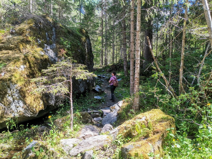 Am Wanderweg zur Schwussner Hütte, Foto Veronika Schöll