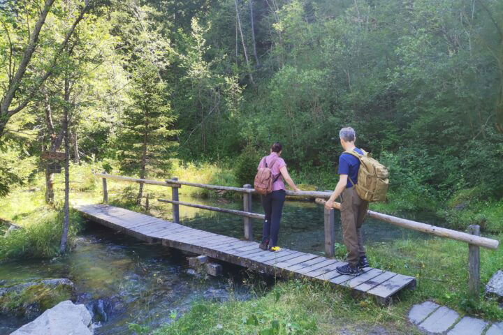 Am Wanderweg zur Schwussner Hütte, Foto Veronika Schöll