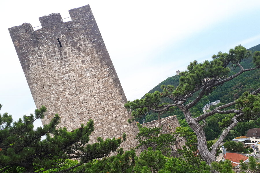 Burgruine Rauhenstein. Foto: Gerold Petritsch
