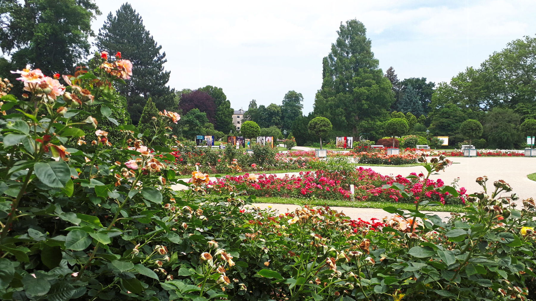 Doblhoffpark. Foto: Gerold Petritsch