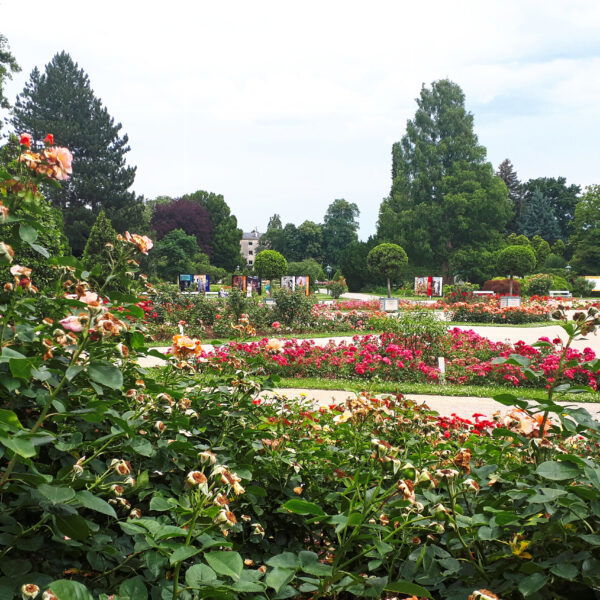 Doblhoffpark. Foto: Gerold Petritsch