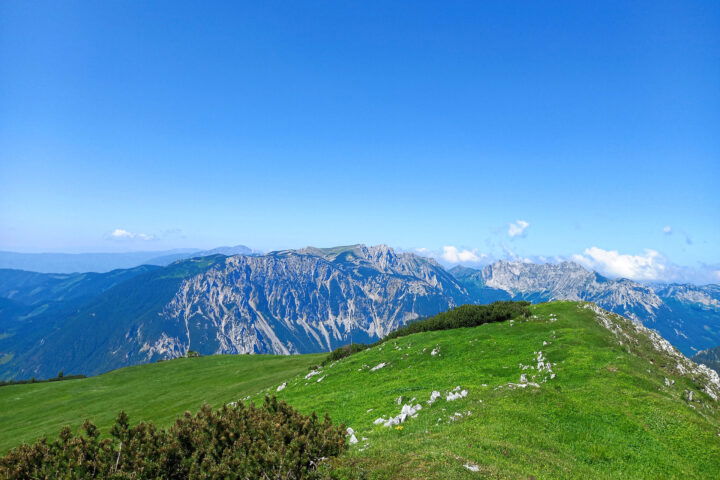 Blick zum Hochturm. Foto: Martina Friesenbichler