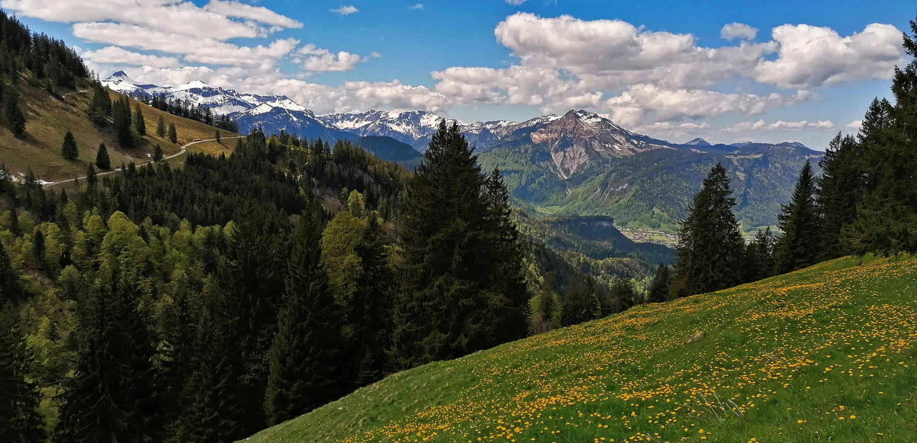 Blick zurück von der Stongenalpe ins Grebentobel. Foto: Norman und Lisa