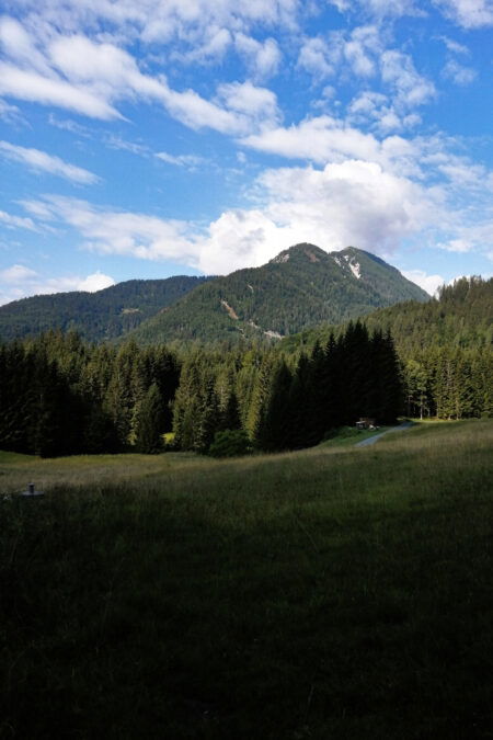 Moosmüllner. Foto: Gerhard Hohenwarter