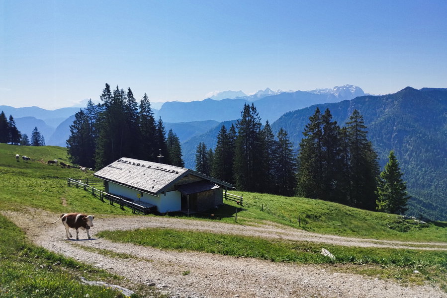 Foto: Nikolaus Vogl