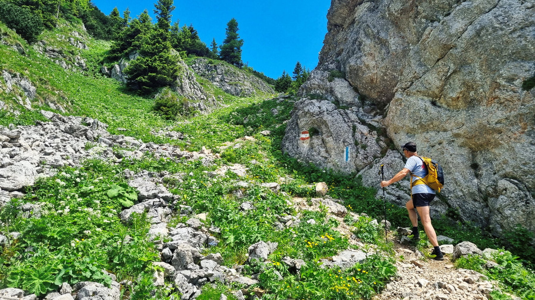 Schneealm Titelbild. Foto: Andreas Steininger