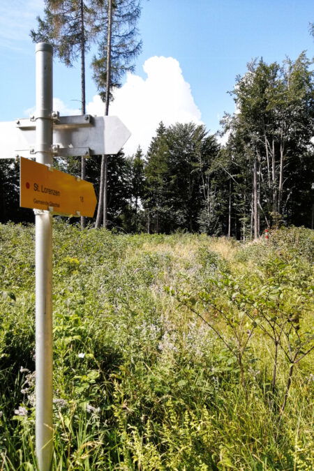 Wegweiser. Foto: Gerhard Hohenwarter