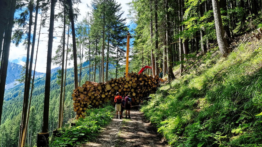 "You shall not pass!" Aber die Hochstuhlgemeinschaft lässt sich nicht aufhalten. Foto: Martin Heppner