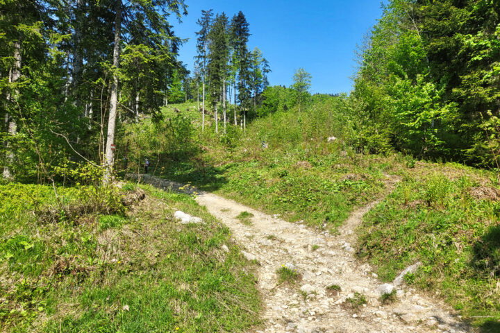 Der Wanderweg zwischendrin, meist sehr angenehm zu gehen 2. Foto: Anna, POW AT