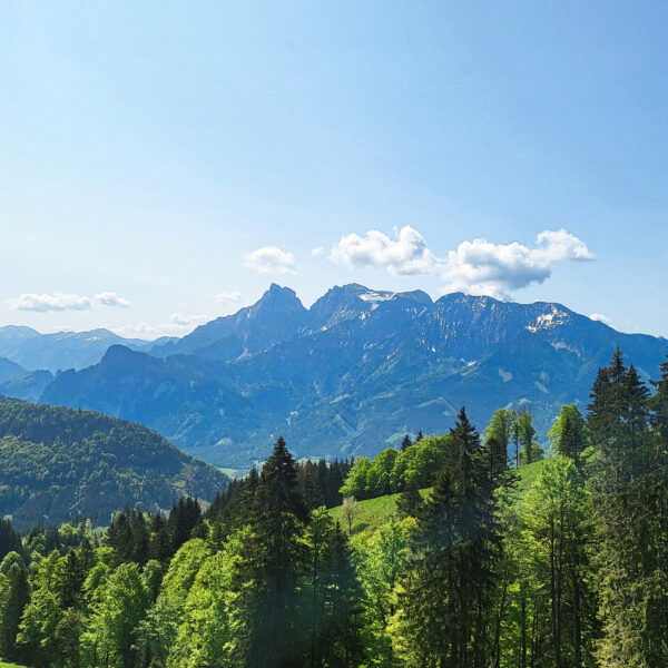Ausblick auf Admonter Reichenstein, Sparafeld, Admonter Kaibling und Riffl (unter anderem). Foto: Anna, POW AT