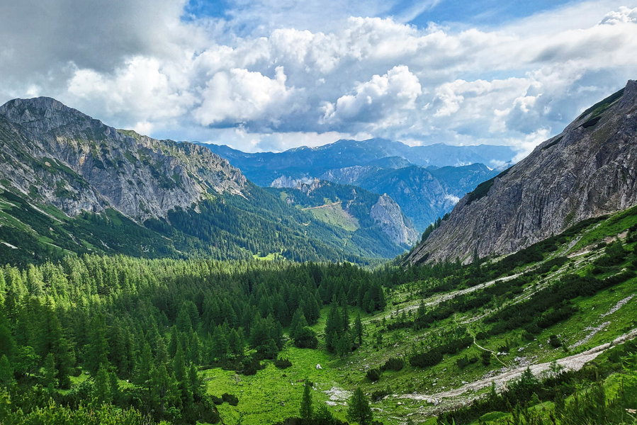Blick vom Lamingsattel Richtung Gropperwald. Foto: Anna, Protect Our Winters Austria (POW AT)
