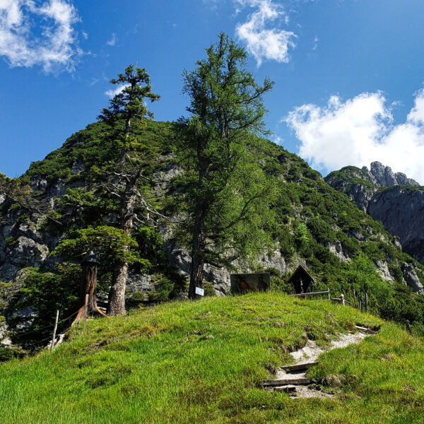 Rastplatz am Riedlspitz. Foto: Alpenverein Saalfelden
