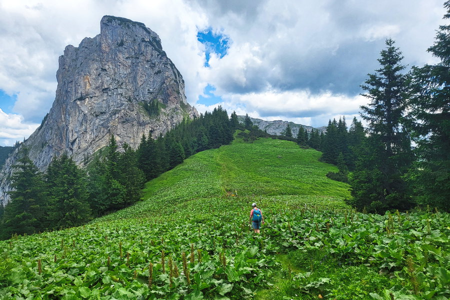 Kurz vor dem Neuwaldeggsattel (Wegweise in der Bildmitte), der Frauenmauer sind wir schon deutlich näher gekommen. Foto: Anna, Protect Our Winters Austria (POW AT)