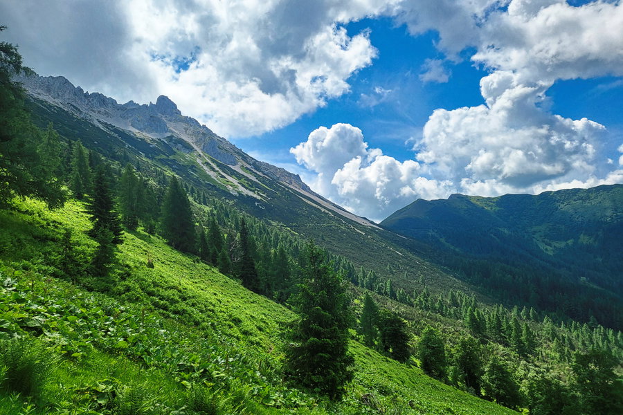 Blick zurück auf den Weg, TAC-Spitze und Sattel. Foto: Anna, Protect Our Winters Austria (POW AT)