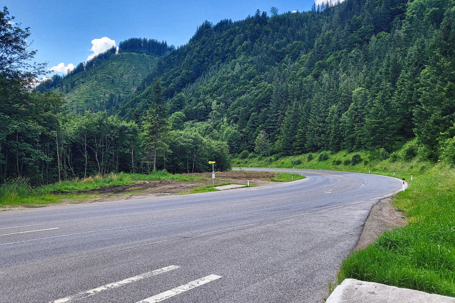 Die Haltestelle Gsollkehre Abzw Gsollhütte. Beim Überqueren der Straße ist Vorsicht geboten, da die Autos hier mit ziemlichen Karacho vorbeirauschen. Foto: Anna, Protect Our Winters Austria (POW AT)