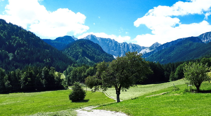 Blick Richtung Märchenwiese und Vertatscha. Foto: Gerold Petritsch