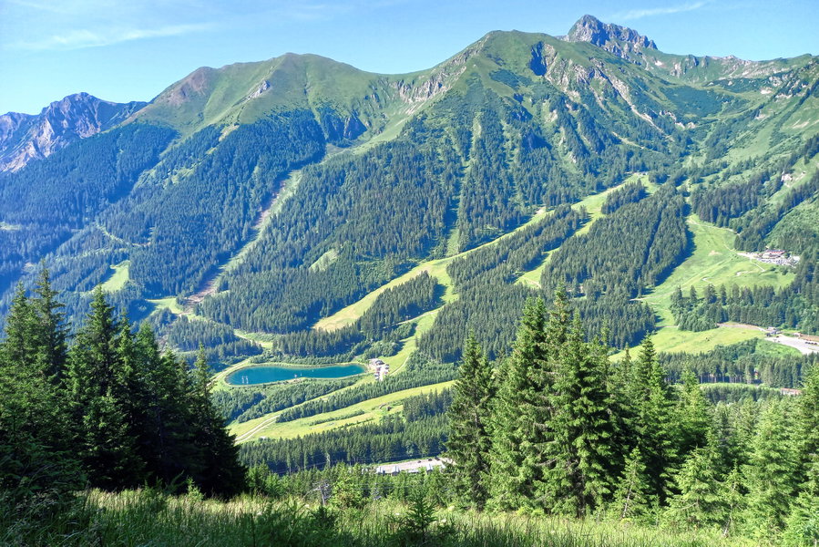 Blick zum Reichenstein. Foto: Martina Friesenbichler