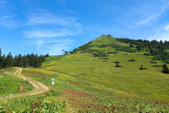 Polster in Sicht. Foto: Martina Friesenbichler