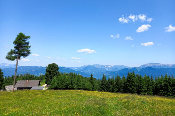 Blick zur Veitsch (ganz links), zur Schneealm (Bildmitte) und zur Rax (ganz rechts). Foto: Martina Friesenbichler