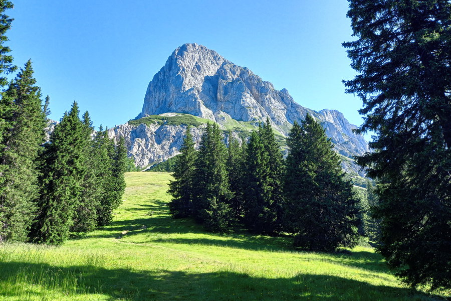 Kaibling. Foto: Martina Friesenbichler