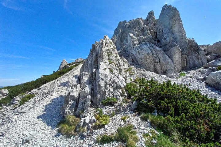 Beginn des Aufstiegs zur TAC-Spitze und Griesmauer. Foto: Martina Friesenbichler