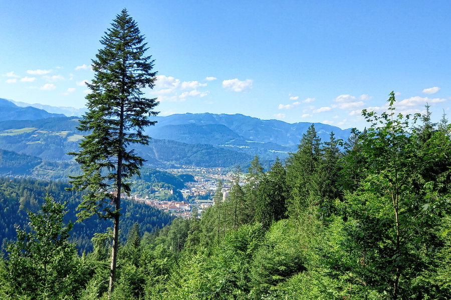 Blick nach Bruck. Foto: Martina Friesenbichler