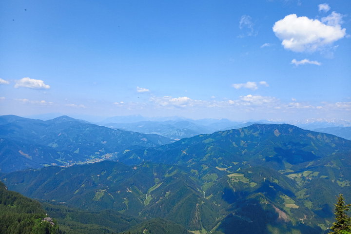 Blick zum Rennfeld. Foto: Martina Friesenbichler