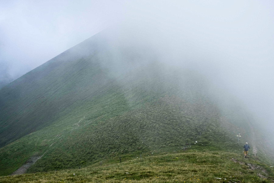 Leider keine Aussicht auf dem Weg zum Frauenkogel. Foto: Birgit Reiter