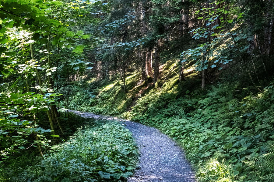 Die letzten schattigen Passagen bevor das Mandldörfl erreicht ist. Foto: Birgit Reiter