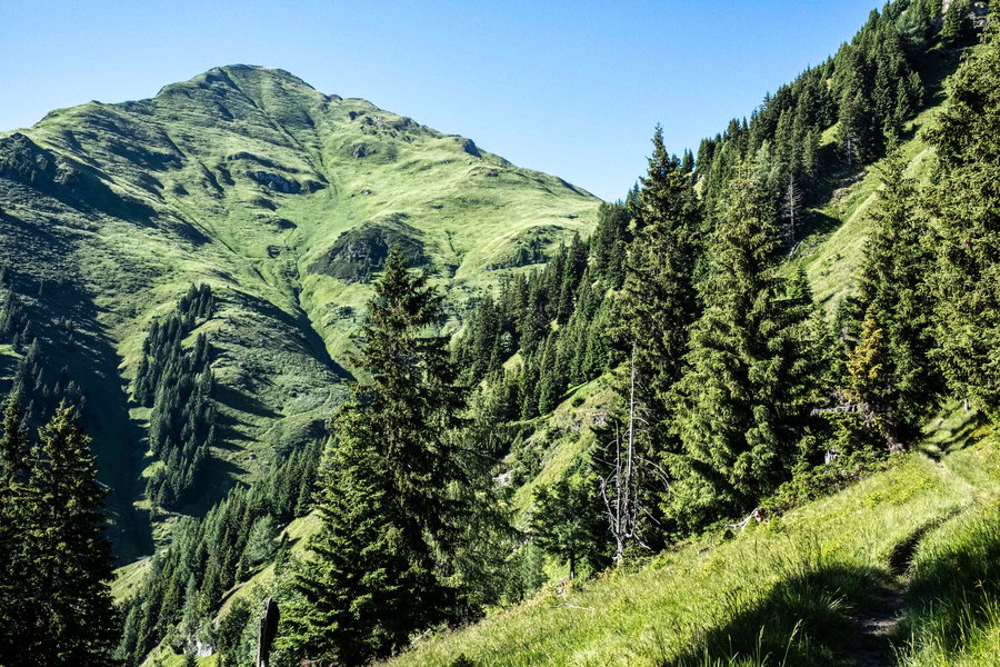 Unser Ziel – der Gamskarkogel. Foto: Birgit Reiter
