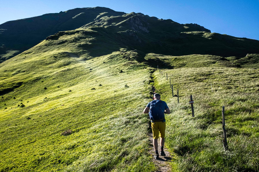 Der letzte Anstieg zum Gamskarkogel. Foto: Birgit Reiter