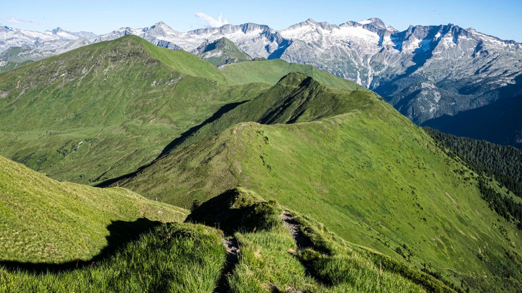 Ankogelgruppe in grün, grau und weiß. Foto: Birgit Reiter