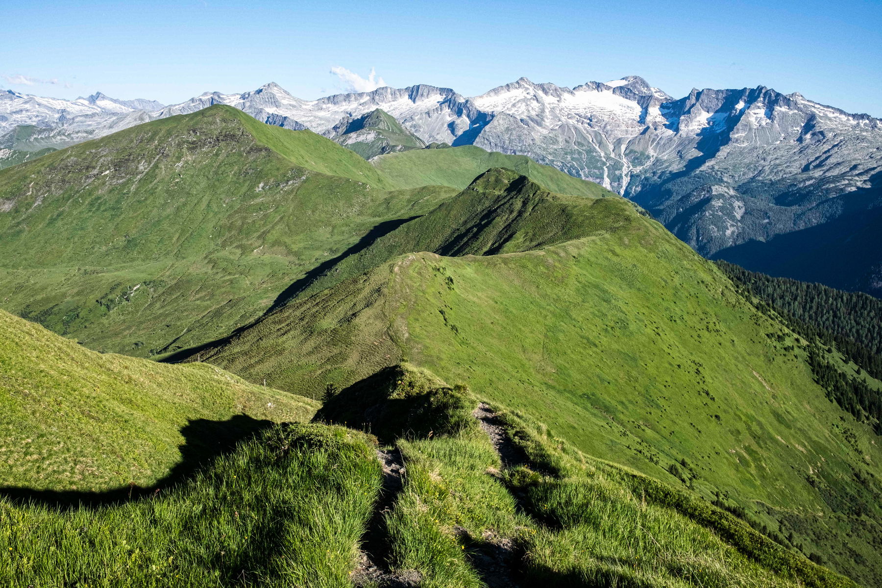 Auf den höchsten Grasberg Europas – den Gamskarkogel bei Bad Gastein