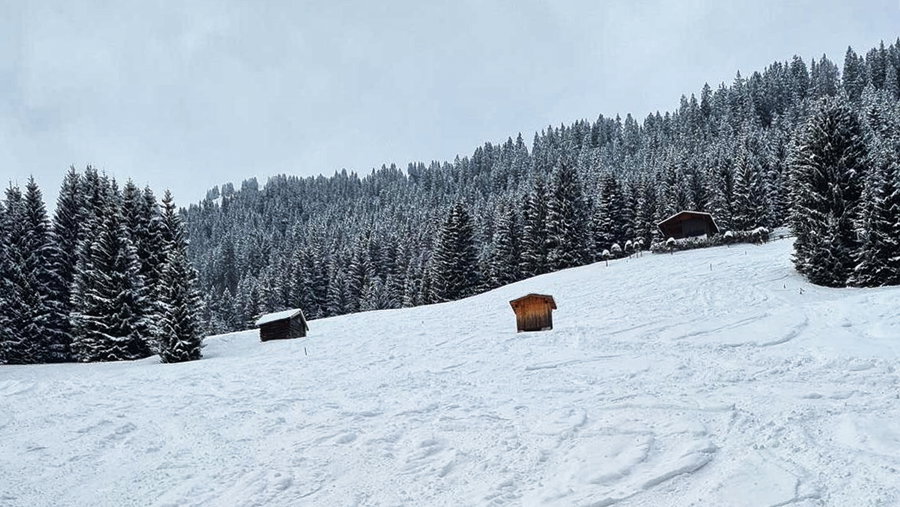 Blick zur Ehenbichler Alm hinauf. Foto: Felix Berg