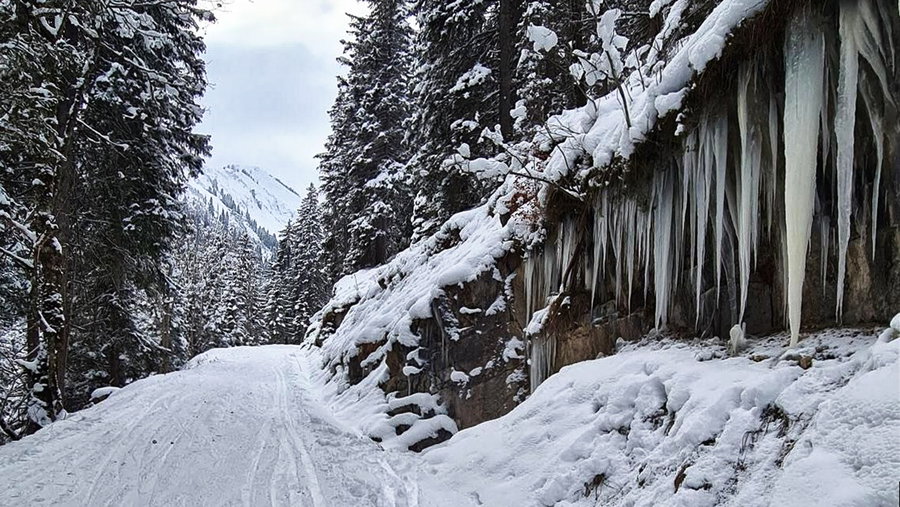 Die lange Waldquerung auf dem Rotbach Weg. Foto: Felix Berg