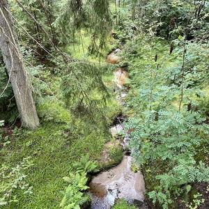Sandl, Schritt für Schritt auf Granit