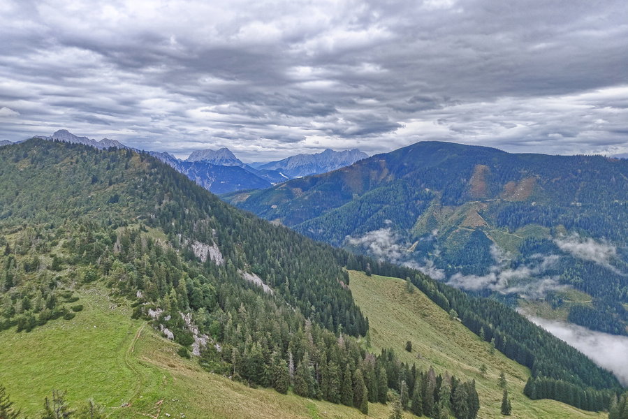 Ausblick vom Arlingsattel in Richtung Gesäuse. Foto: Simon Widy
