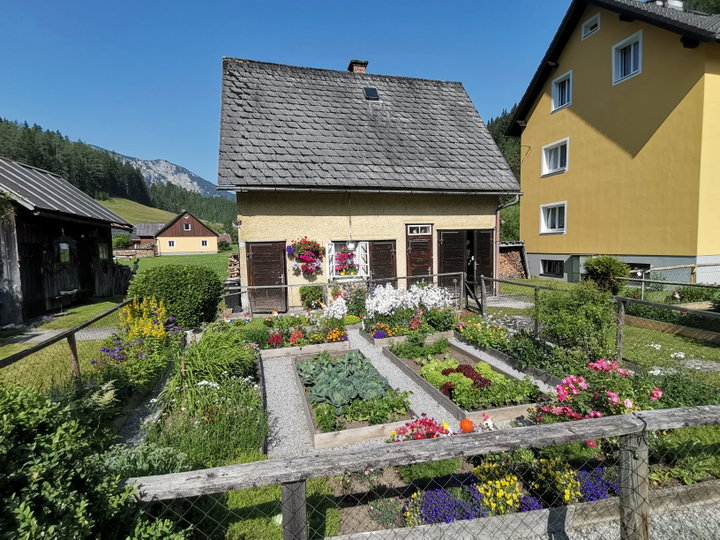 Im Brunntalgraben. Fotos Veronika Schöll
