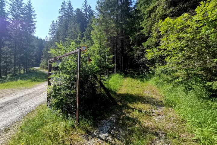 Im Brunntalgraben. Fotos Veronika Schöll