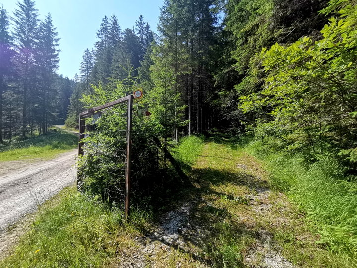 Im Brunntalgraben. Fotos Veronika Schöll