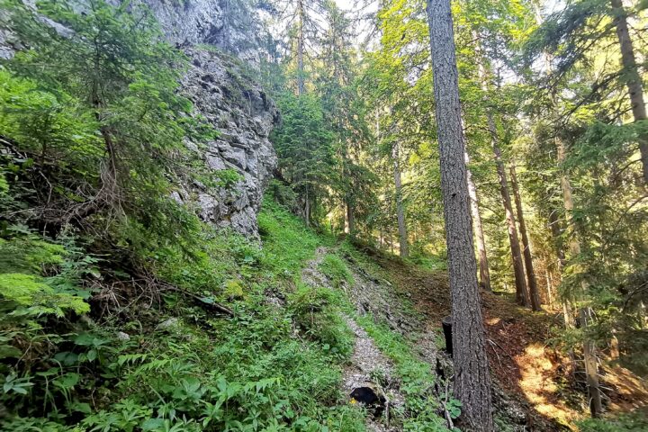 Weg und Gipfel Senkstein. Fotos Veronika Schöll