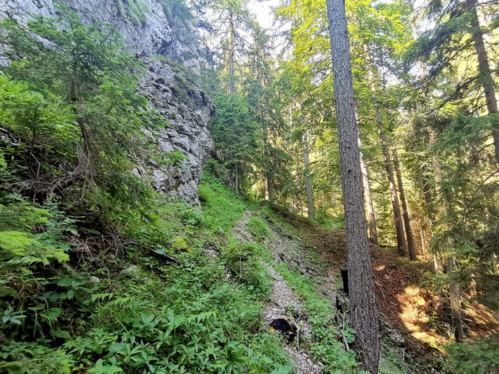 Weg und Gipfel Senkstein. Fotos Veronika Schöll
