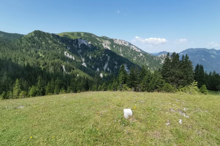 Weg und Gipfel Senkstein. Fotos Veronika Schöll