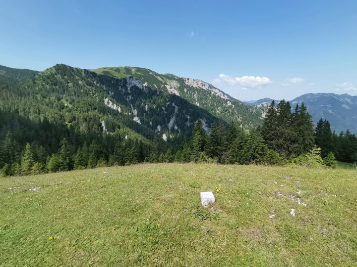 Weg und Gipfel Senkstein. Fotos Veronika Schöll