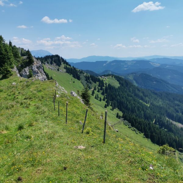 Am Ramkogel. Foto Veronika Schöll