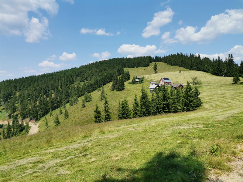 Hocheckalm. Foto Veronika Schöll